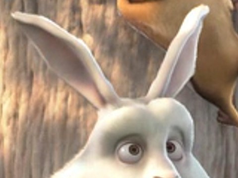 Zoomed original 360p frame — soft fur and blurry edges
